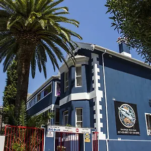 Big Blue Backpackers Ciudad del Cabo